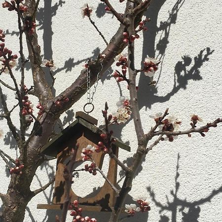 Appartement Emilia ハルシュタット エクステリア 写真