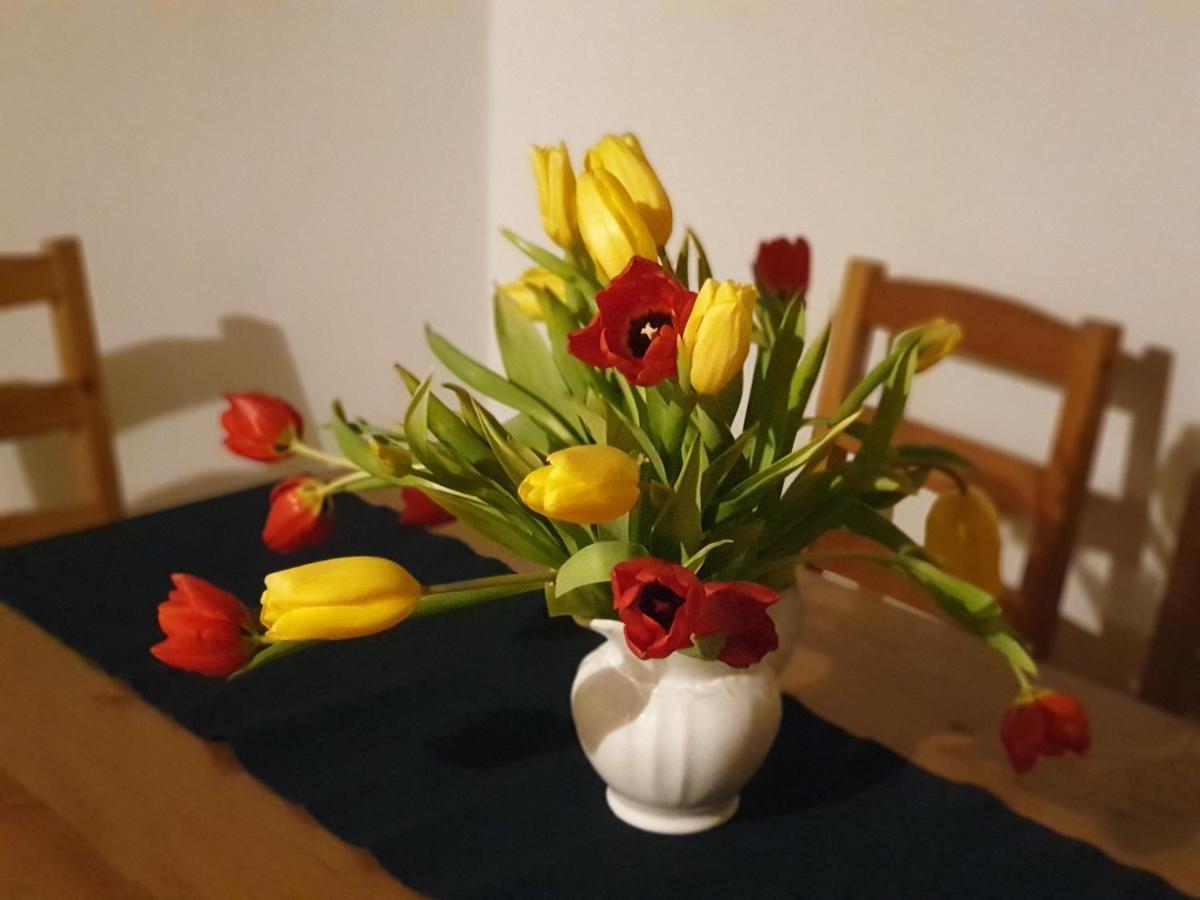 Appartement Emilia ハルシュタット エクステリア 写真