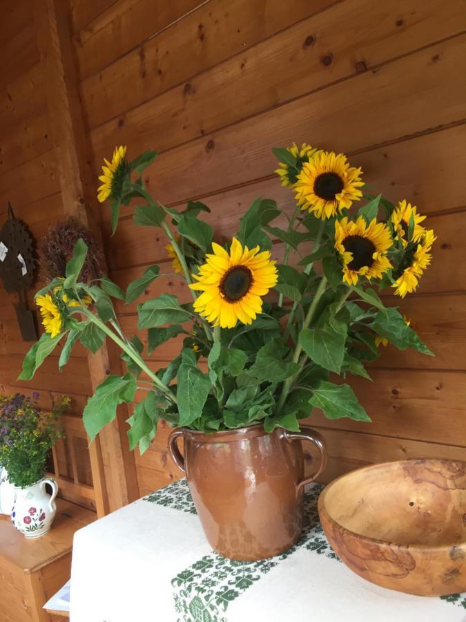 Appartement Emilia ハルシュタット エクステリア 写真