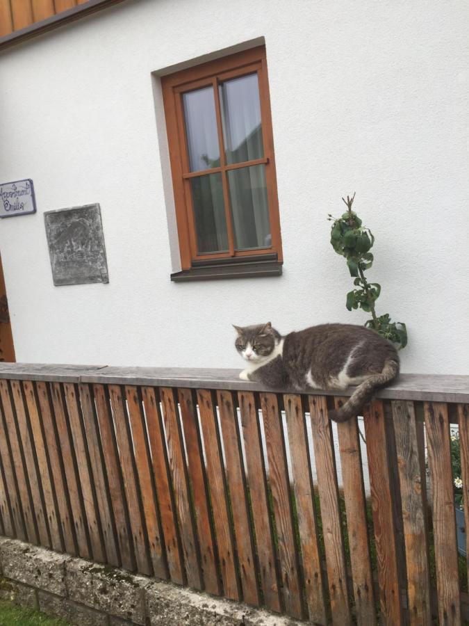 Appartement Emilia ハルシュタット エクステリア 写真
