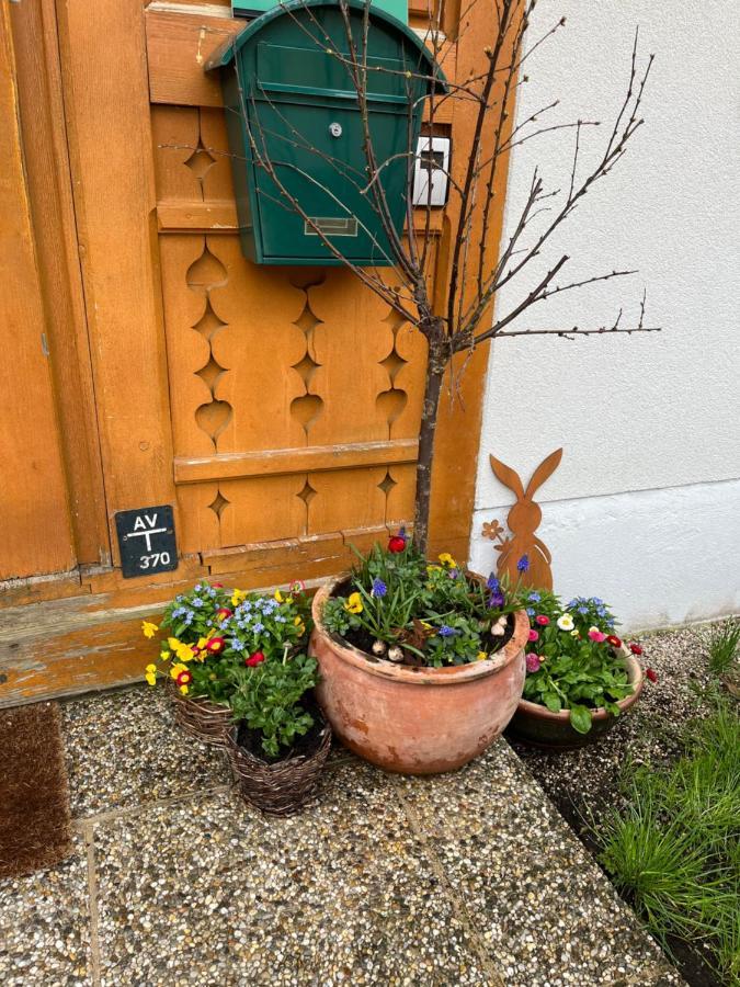Appartement Emilia ハルシュタット エクステリア 写真