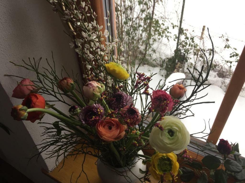 Appartement Emilia ハルシュタット エクステリア 写真